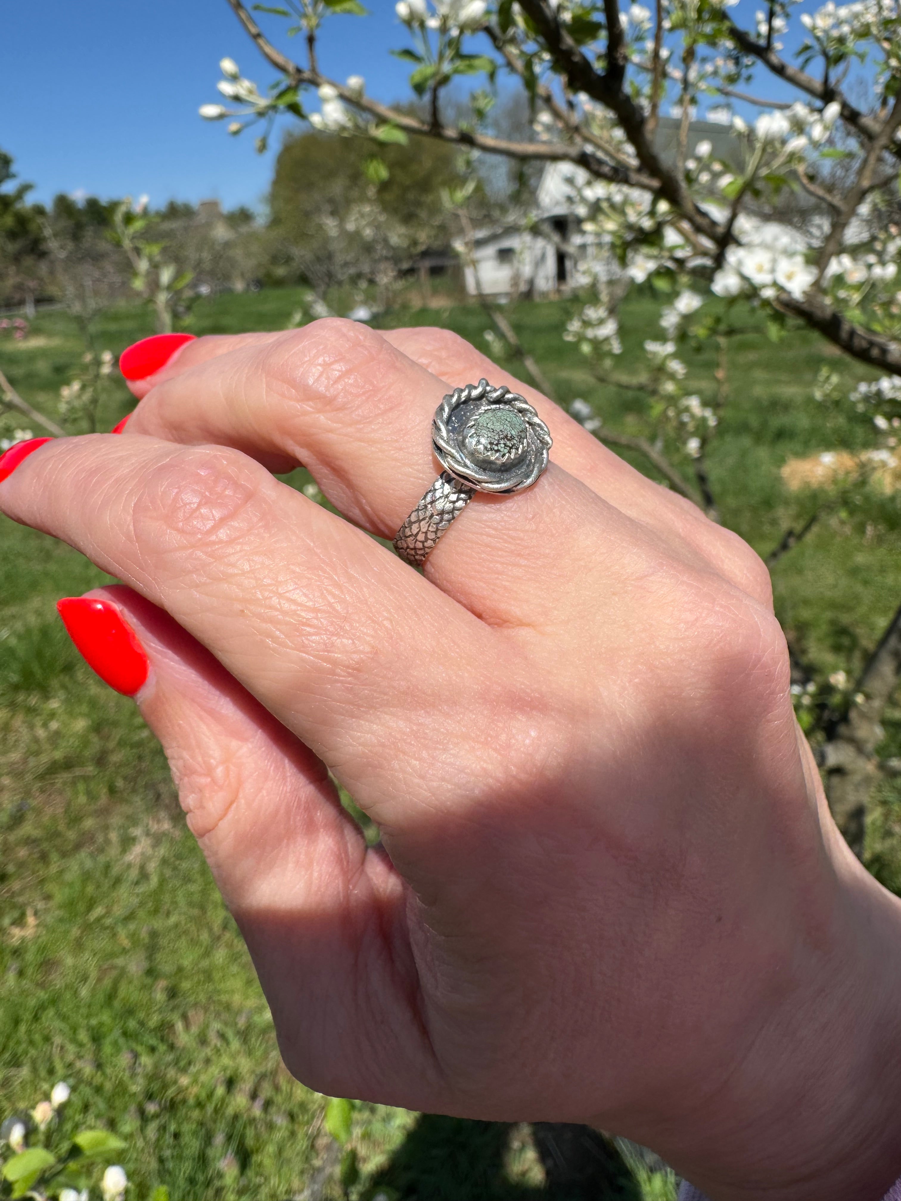 Egyptian Turquoise Nest Ring (size 6.5/6.75)