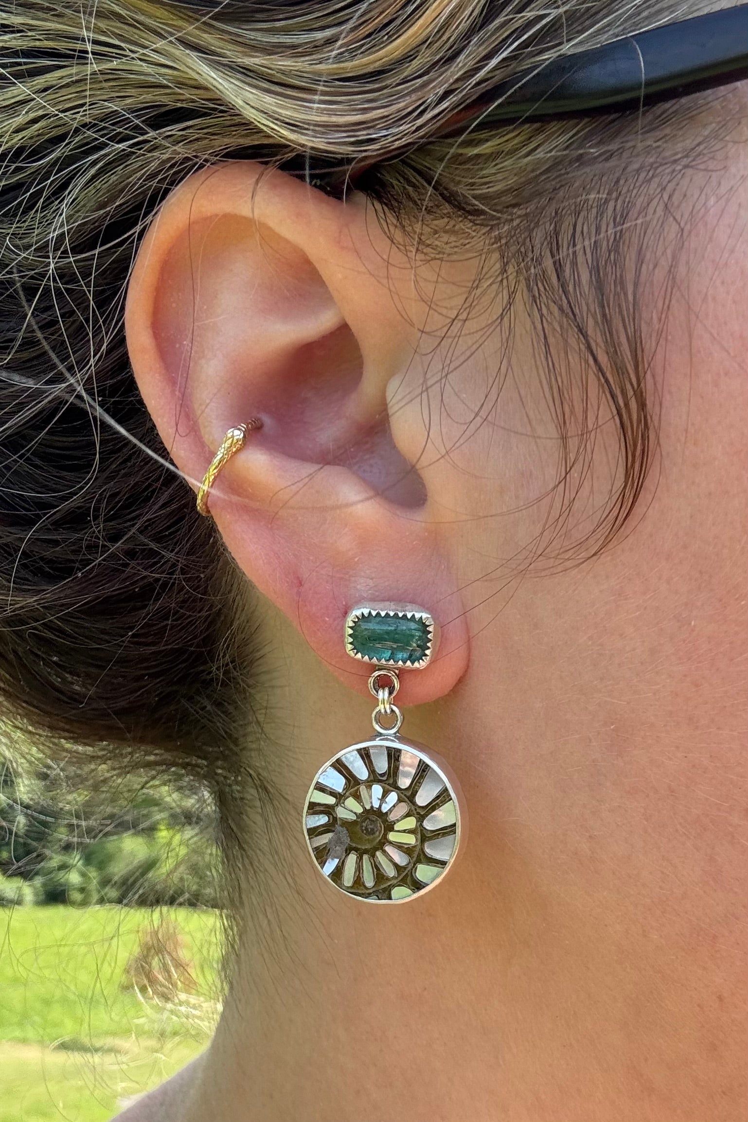 Ammonite with Tourmaline