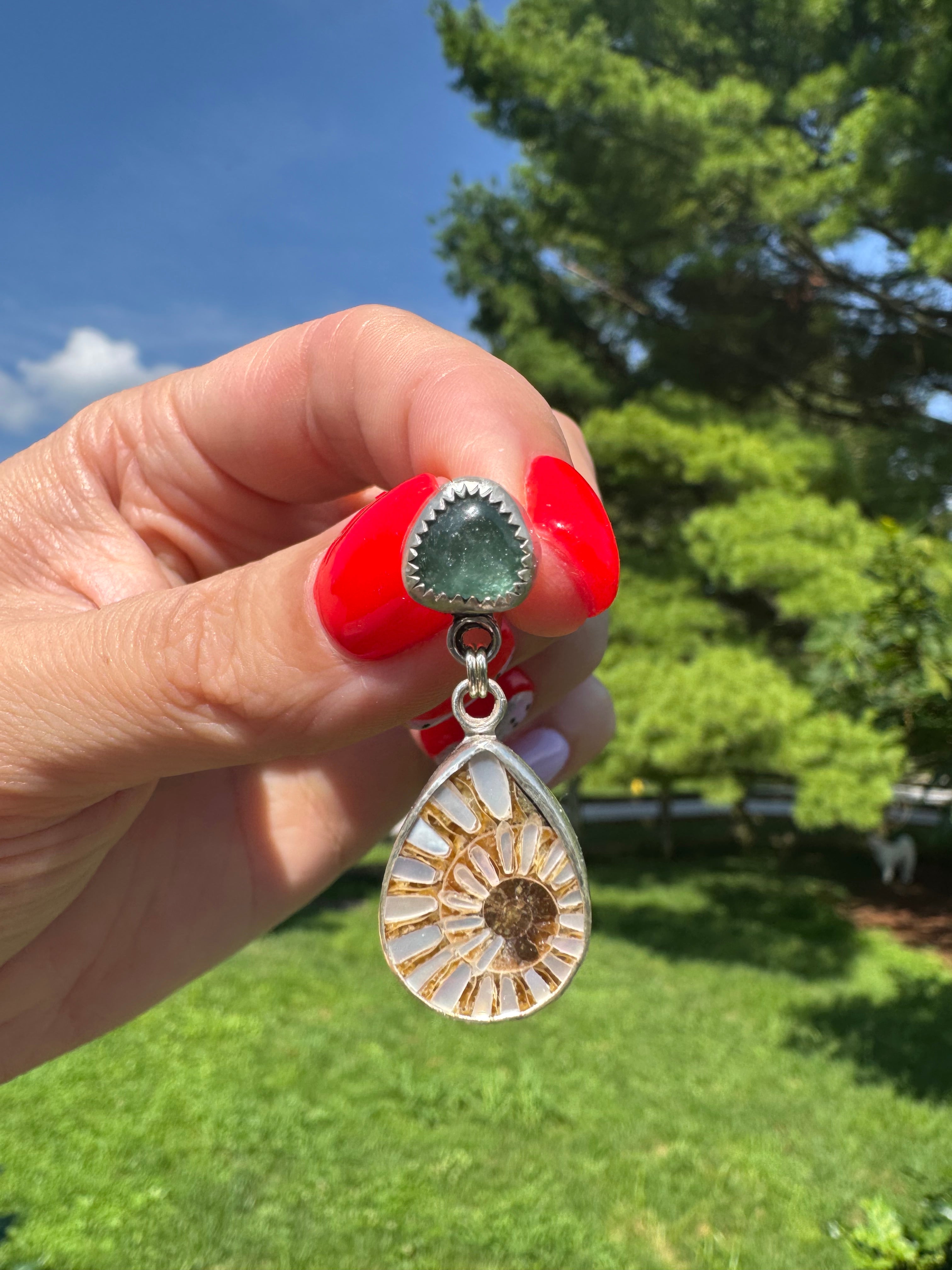 Ammonite with Tourmaline
