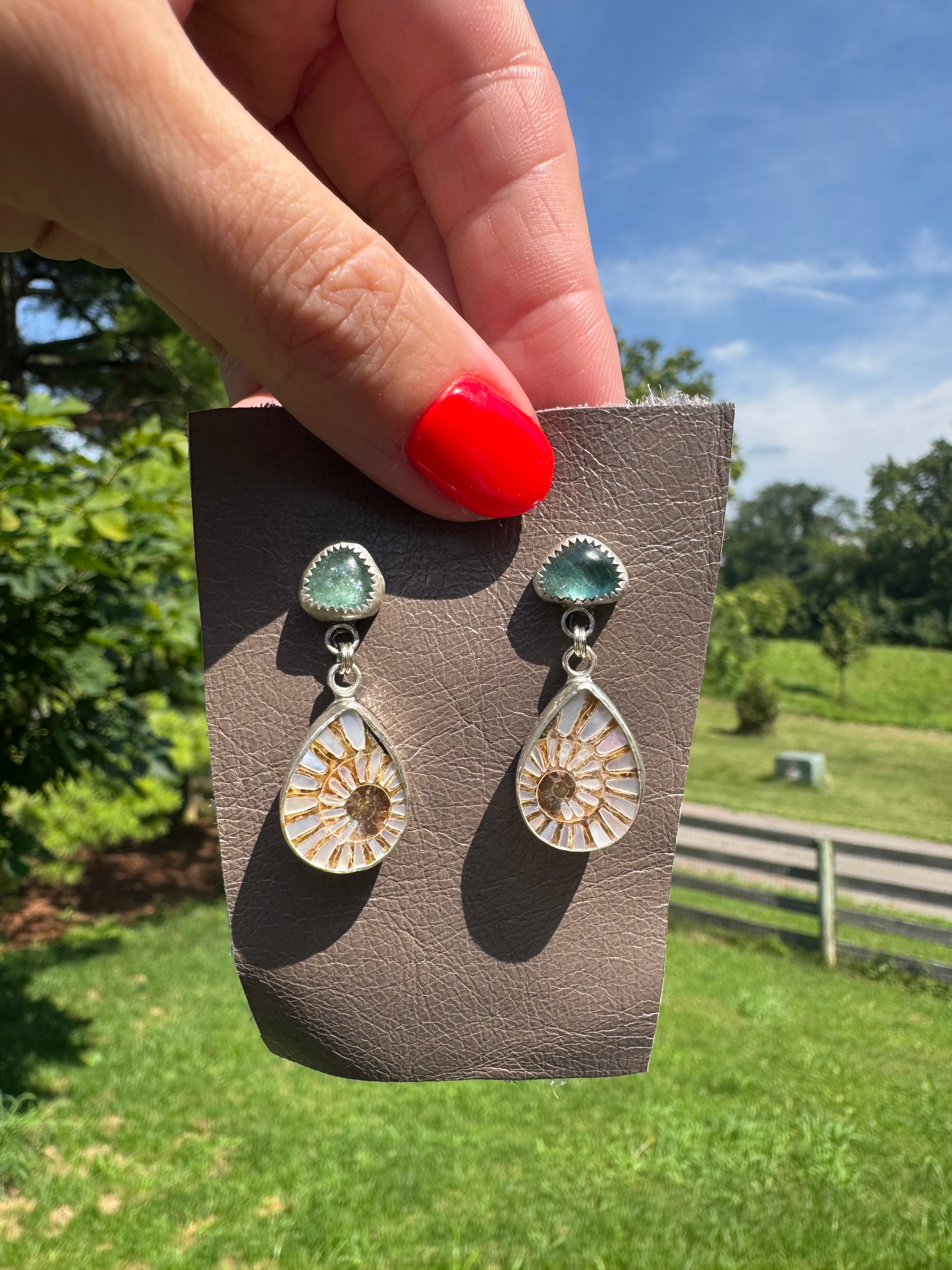 Ammonite with Tourmaline