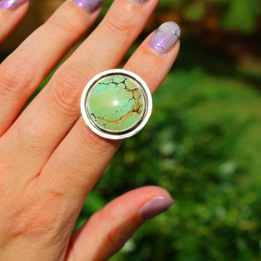 Turquoise Banded Ring | Sterling Silver Border, Size 6