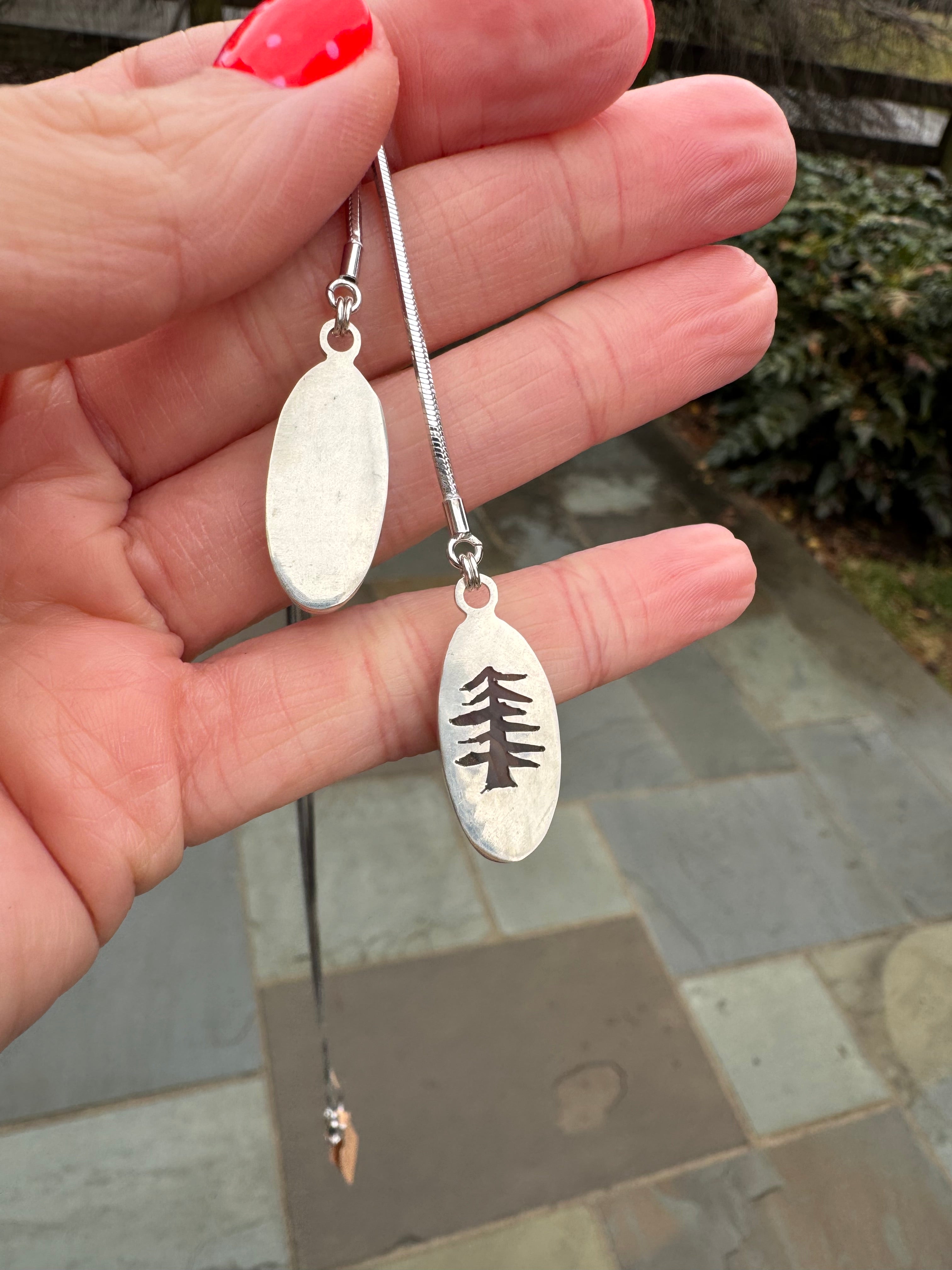 Montana Agate & Skaggs Jasper Bolo Necklace