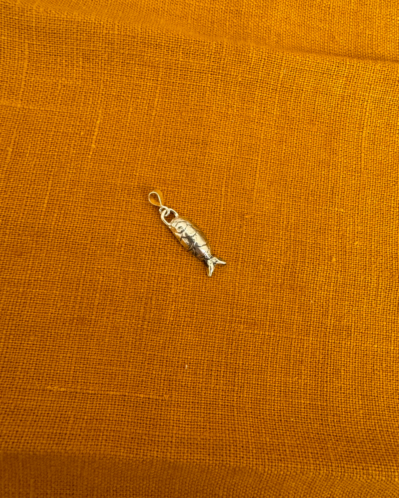 sterling silver fish charm on an orange background