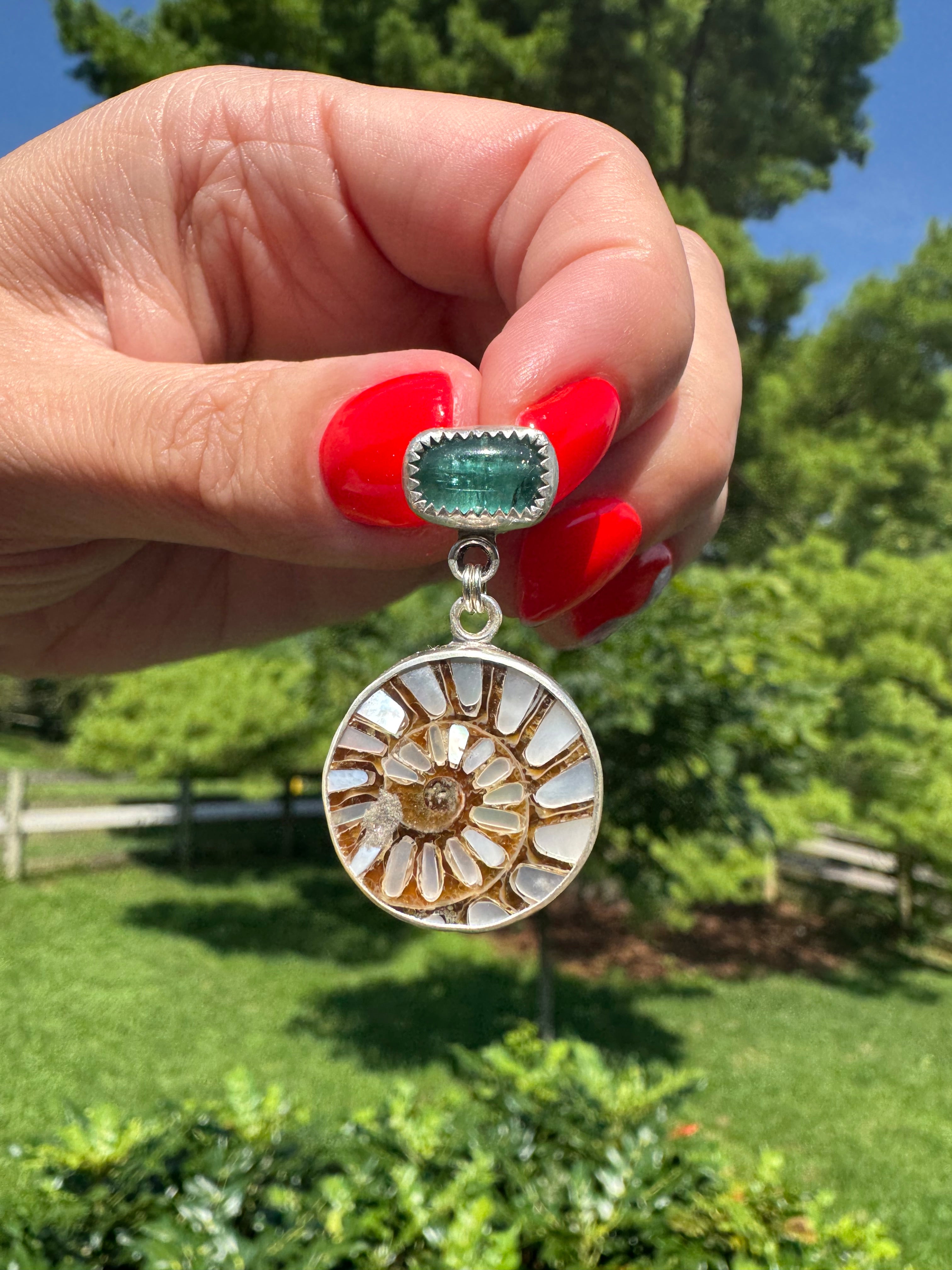 Ammonite with Tourmaline