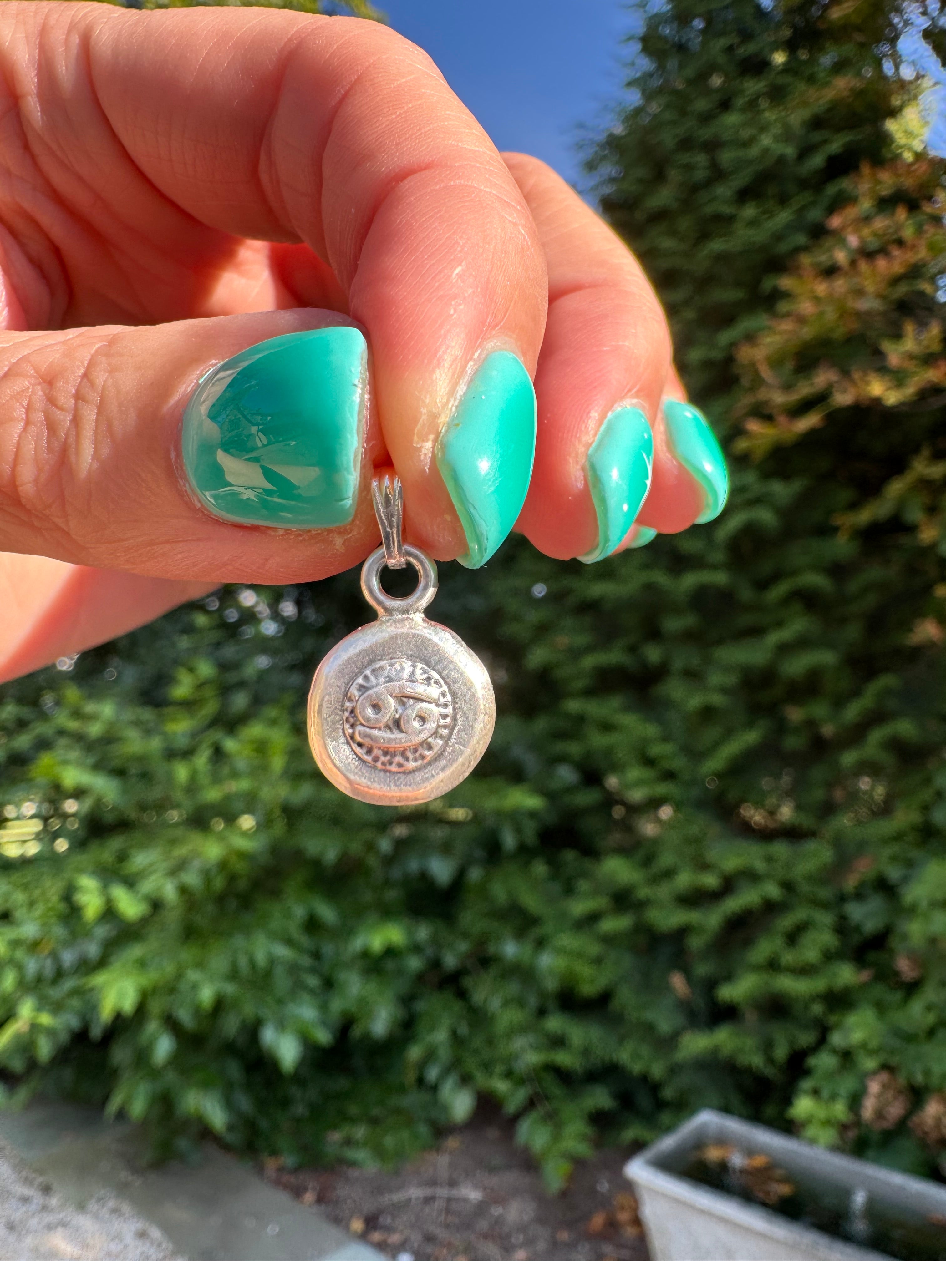 Zodiac Charms