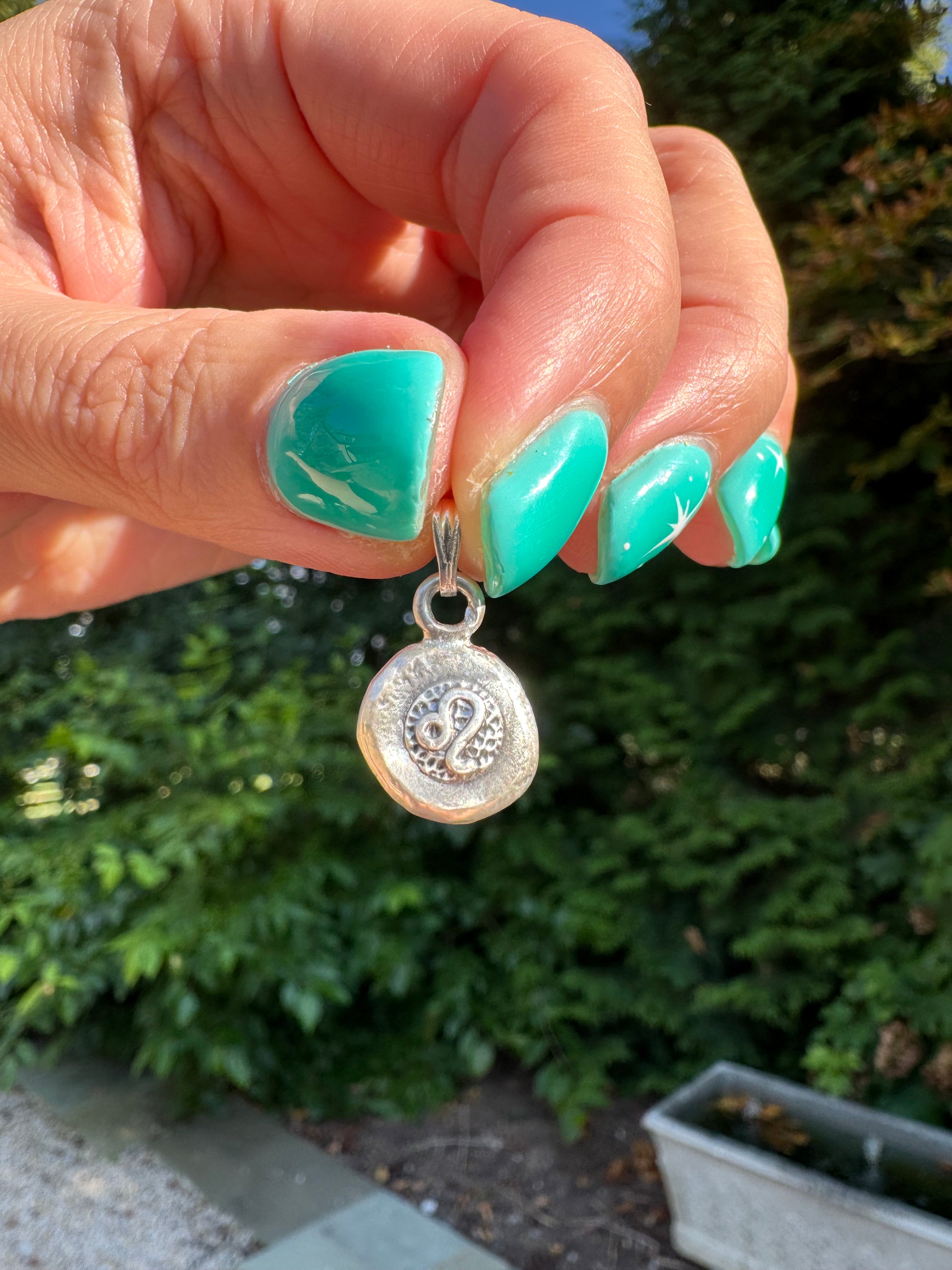 Zodiac Charms