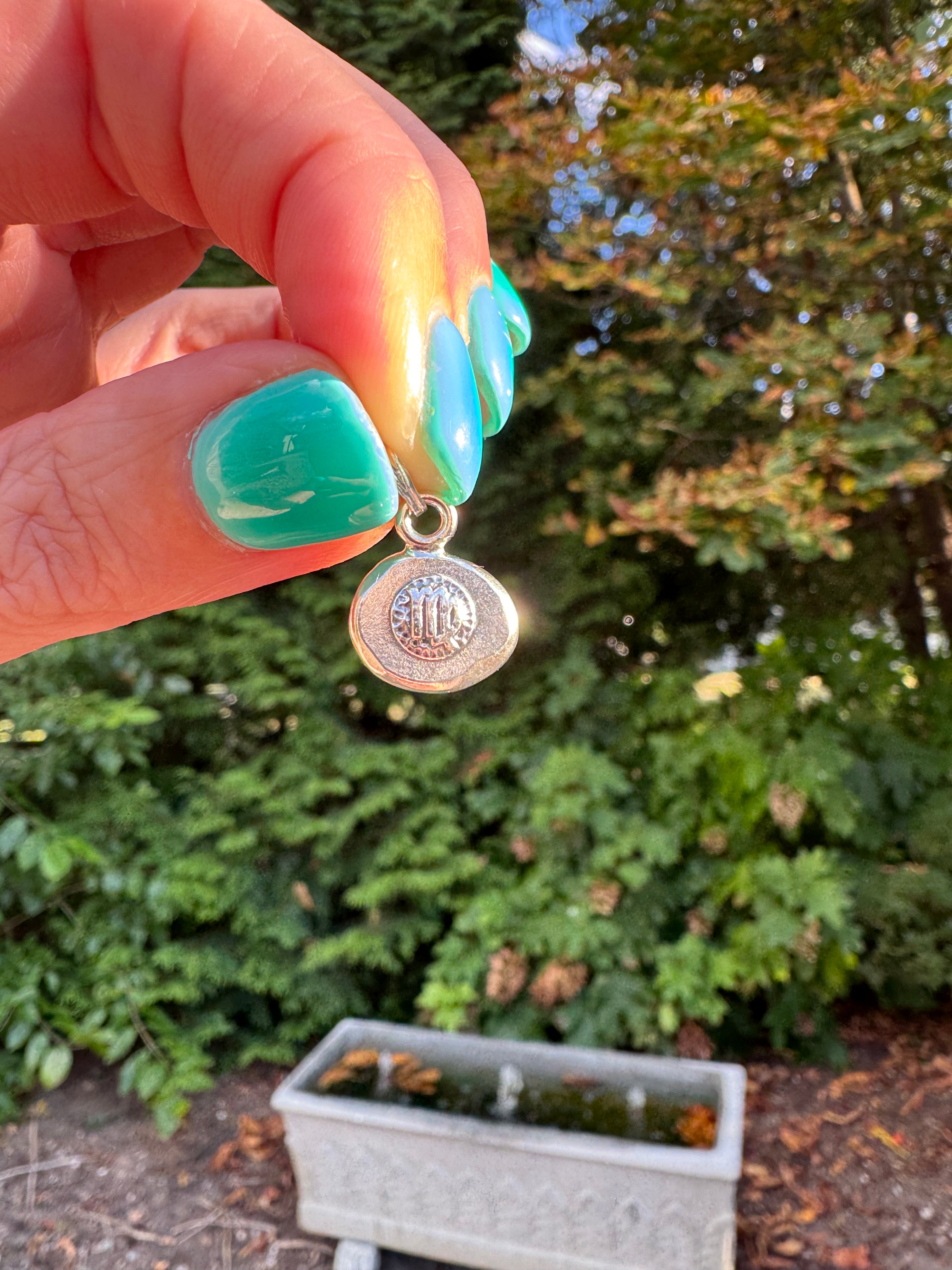 Zodiac Charms