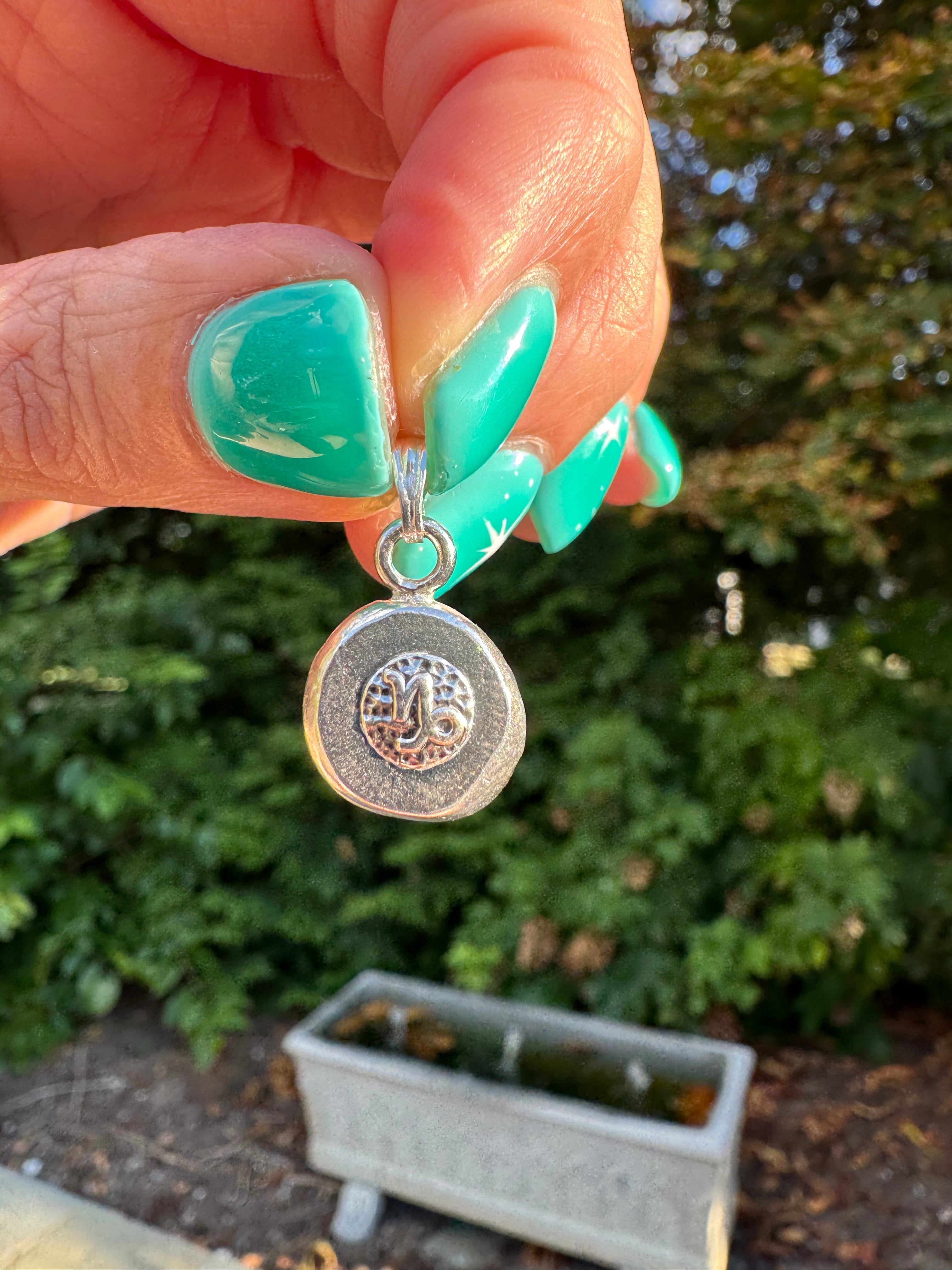 Zodiac Charms