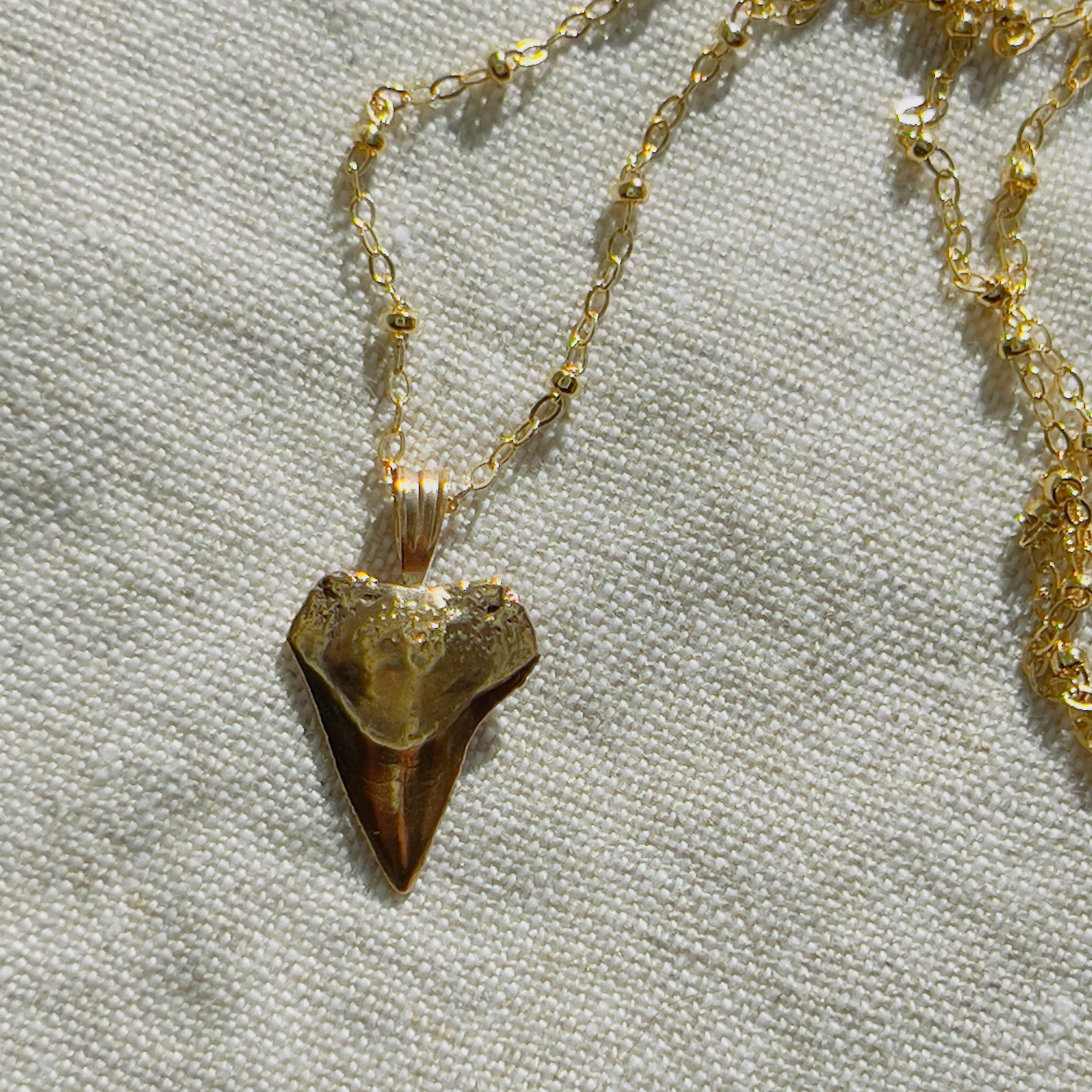 Tooth Necklaces