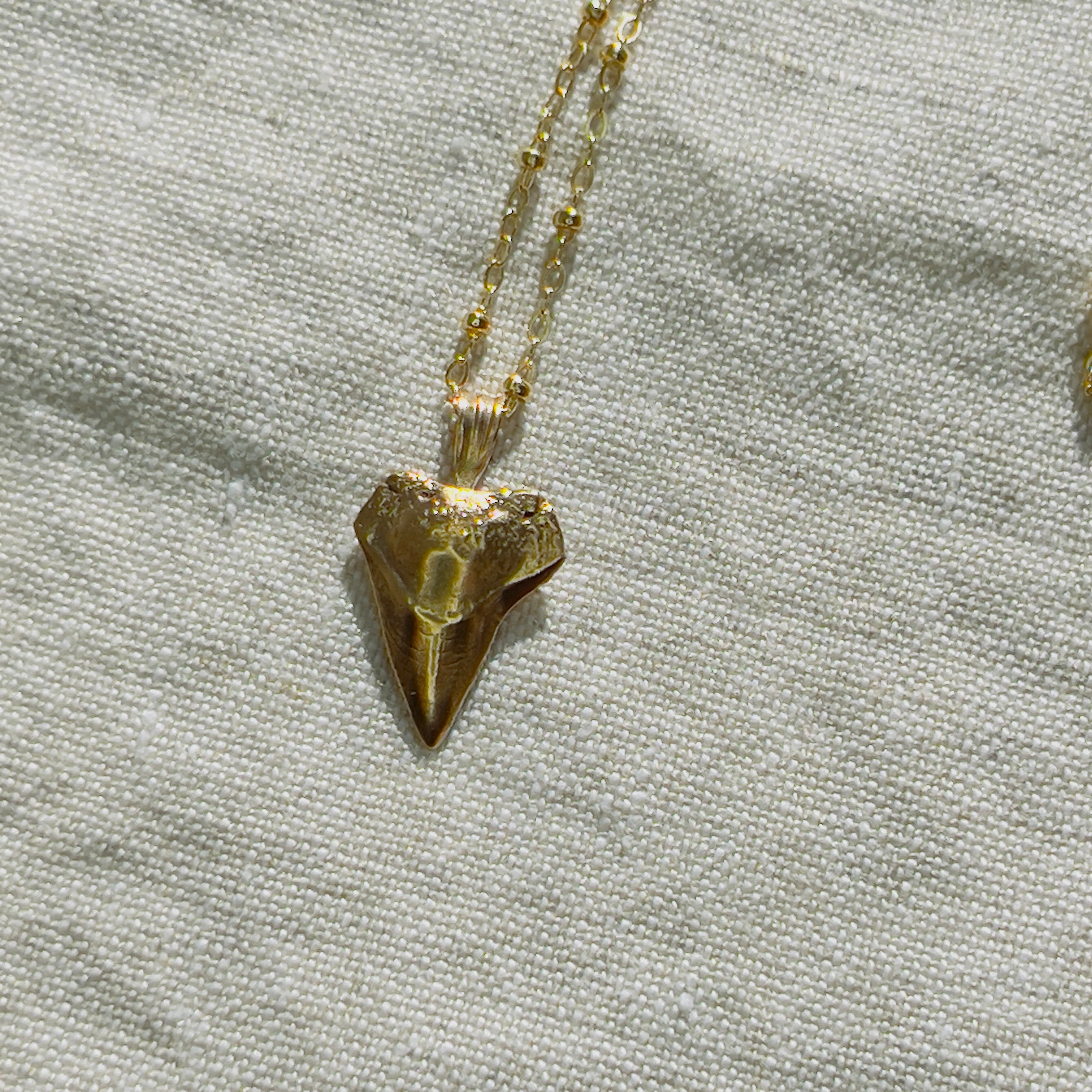 Tooth Necklaces