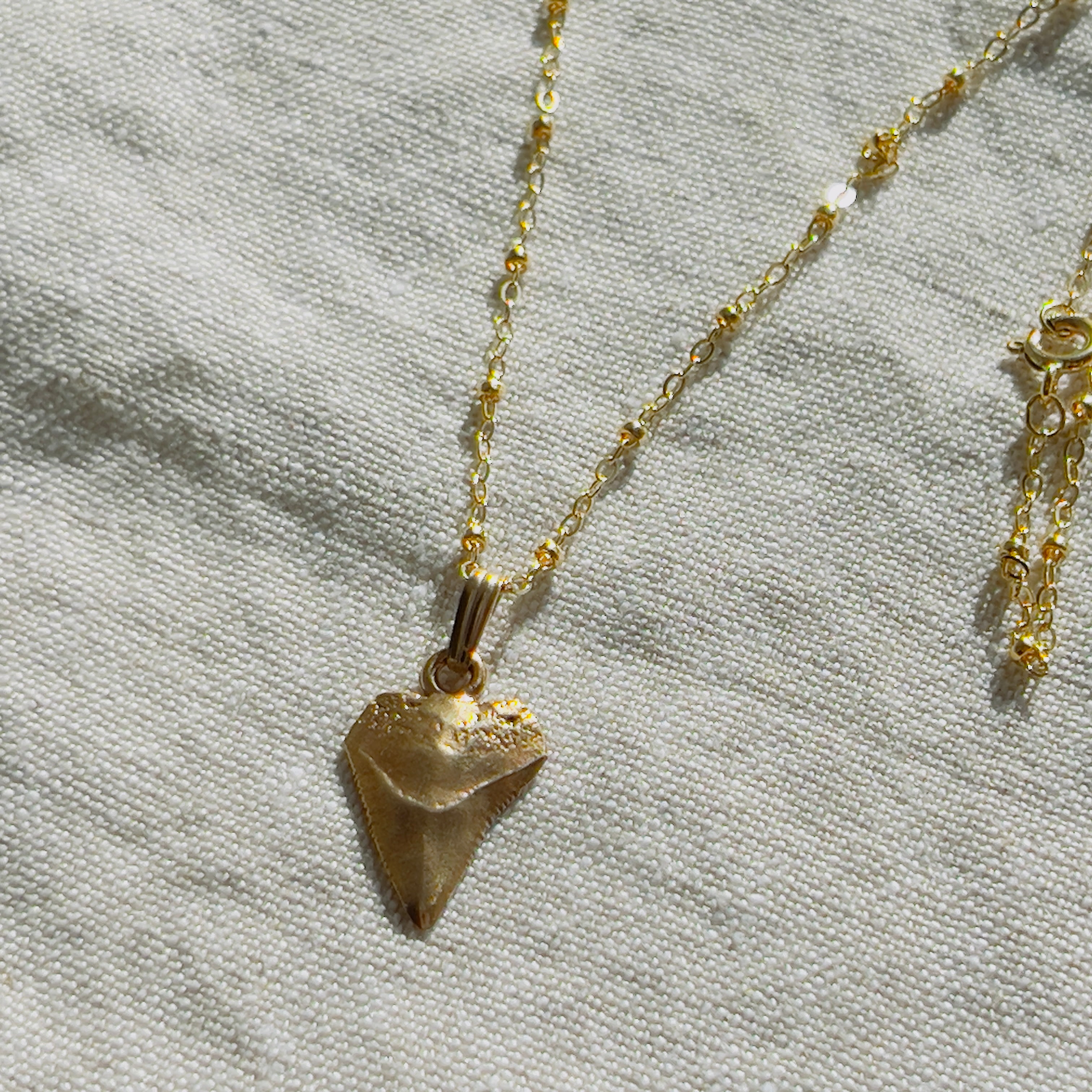 Tooth Necklaces
