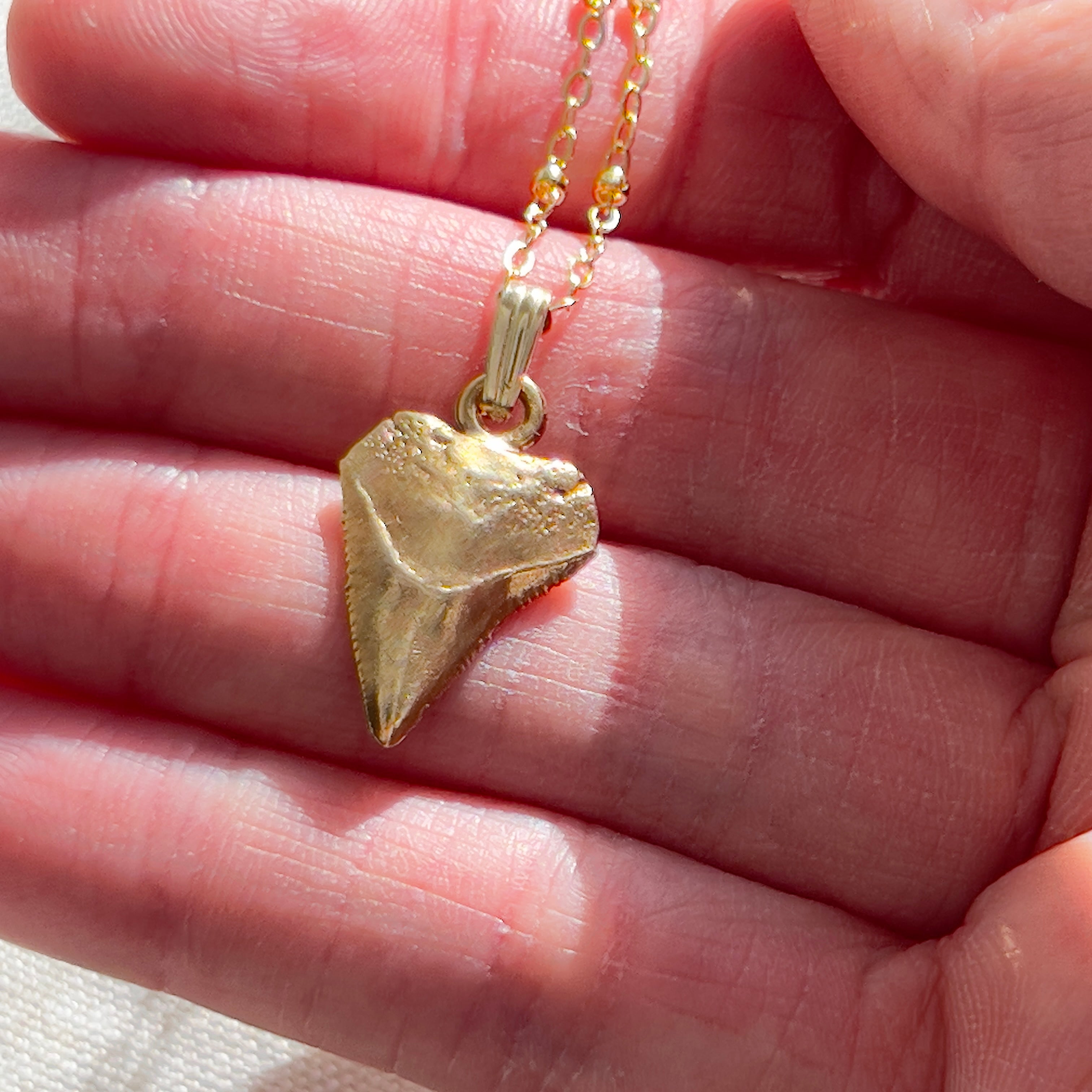 Tooth Necklaces