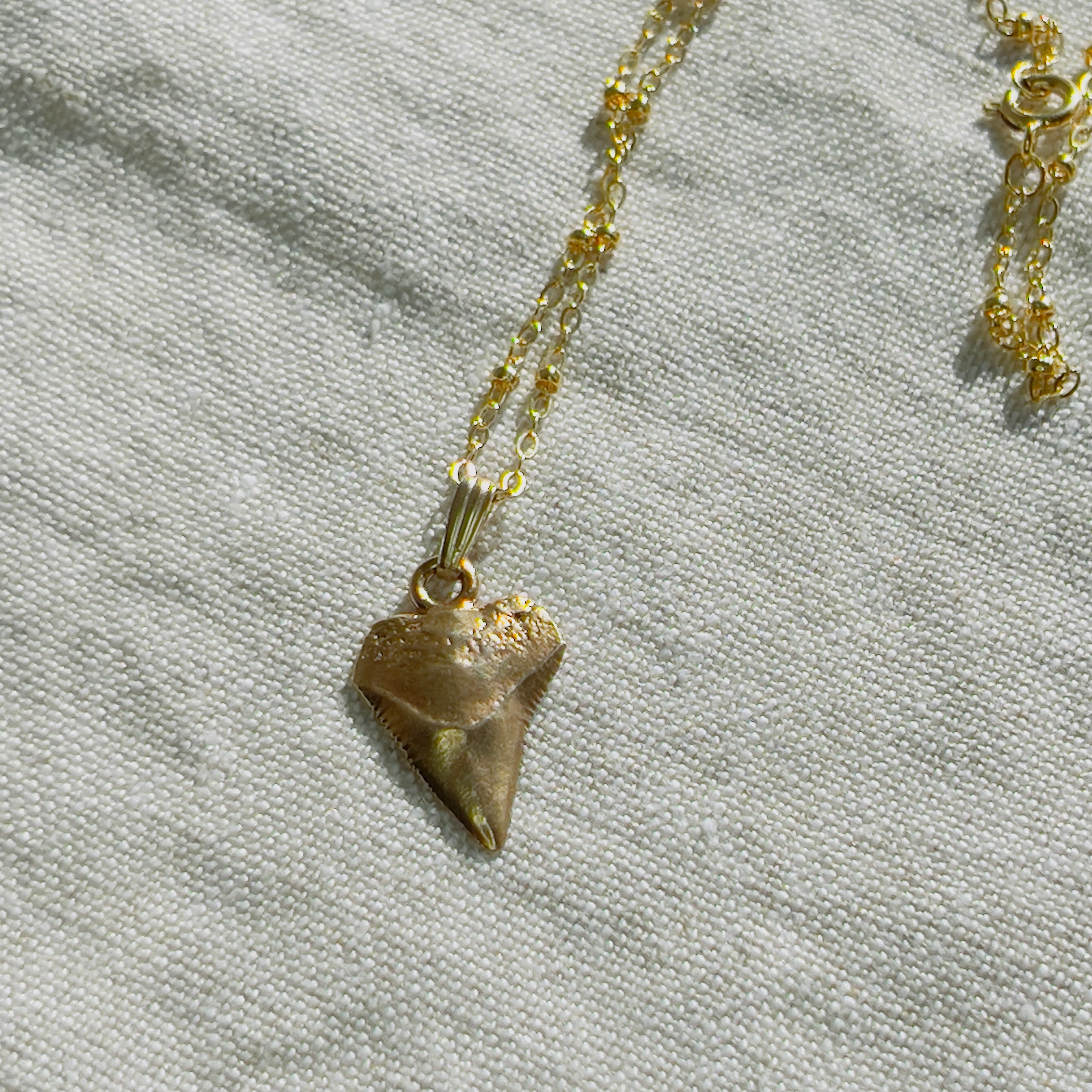 Tooth Necklaces