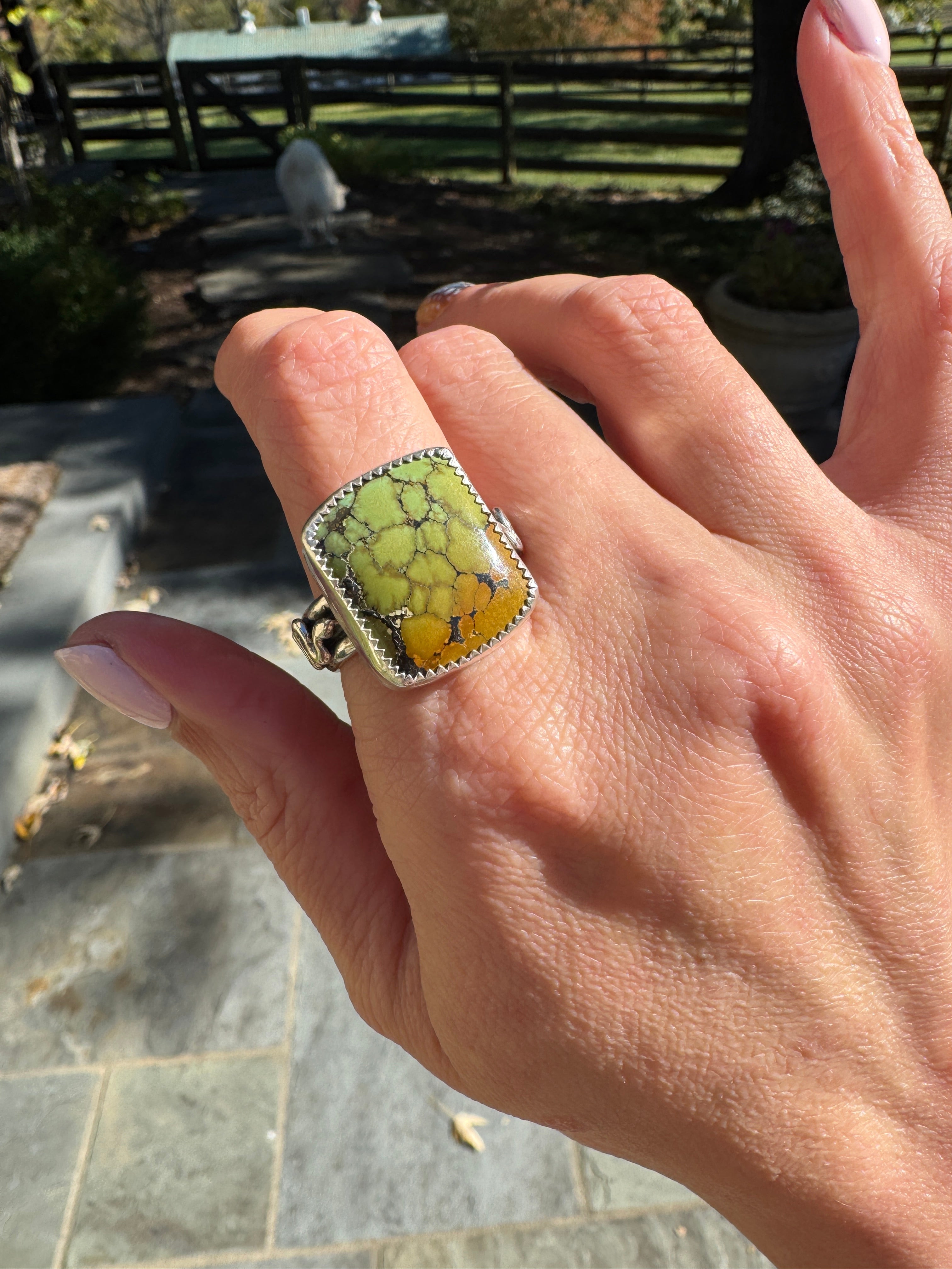 Americana ring. Southwest style turquoise with sterling silver snakes. Western rodeo cowboy style jewelry